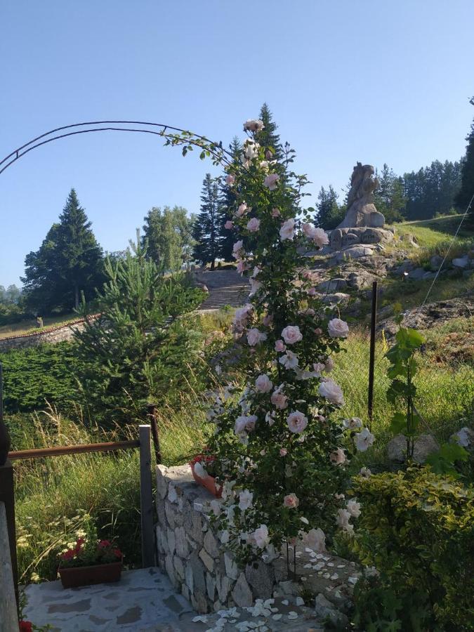 Емили Фемили Хаус Koprivshtitsa Bagian luar foto